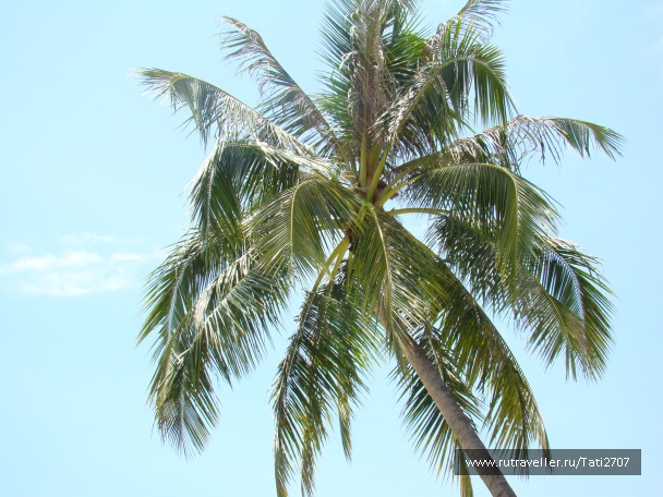 photo 436765