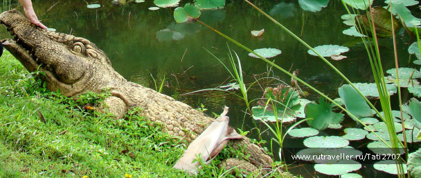 photo 436767