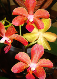 photo 448637