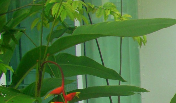DSC0132911
