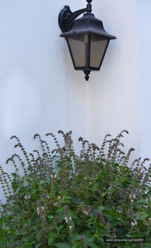 photo 1042710