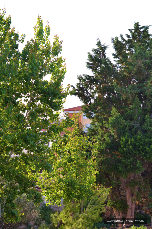 photo 1042711