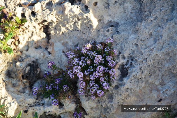 photo 1057137