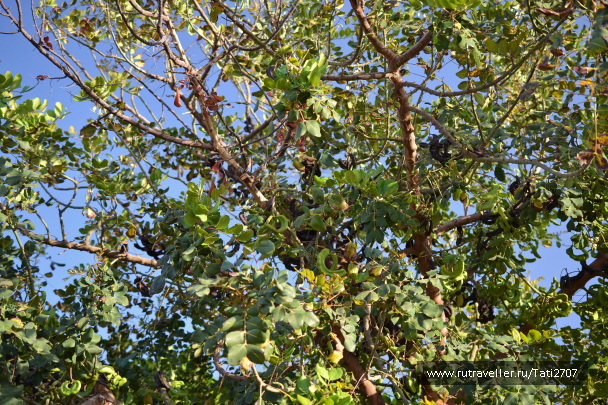 photo 1057301