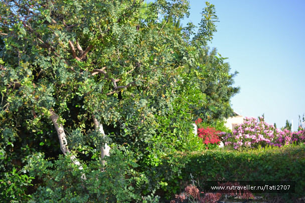 photo 1057302