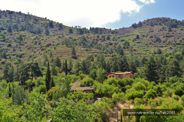 photo 1147994