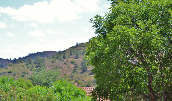 DSC_0518