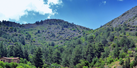 photo 1374375