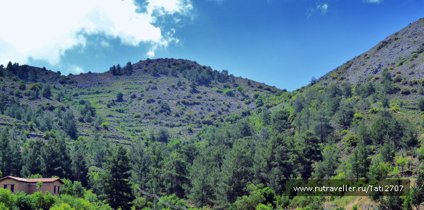 photo 1374375