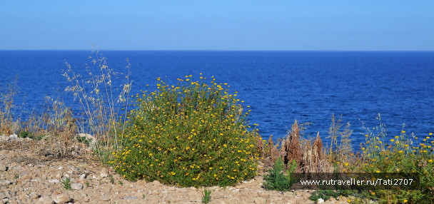 photo 1503755
