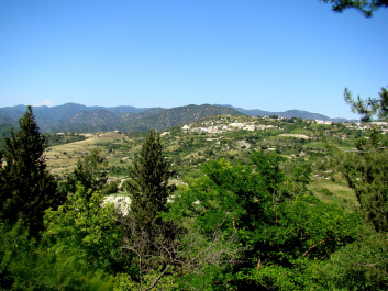 photo 377319