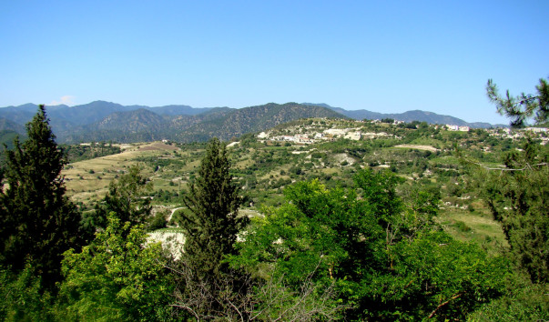 DSC009491