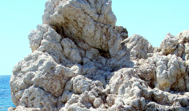 DSC0096911