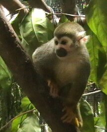 photo 397274