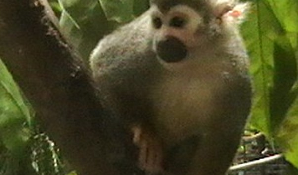 IMGA02121