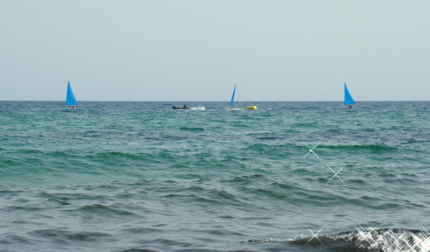 DSC008261