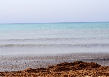 photo 783523