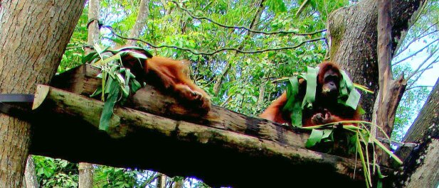 photo 396543