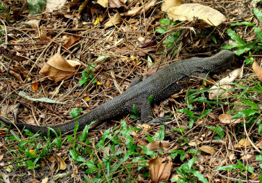 photo 446344