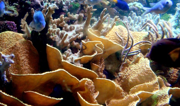 DSC0050811