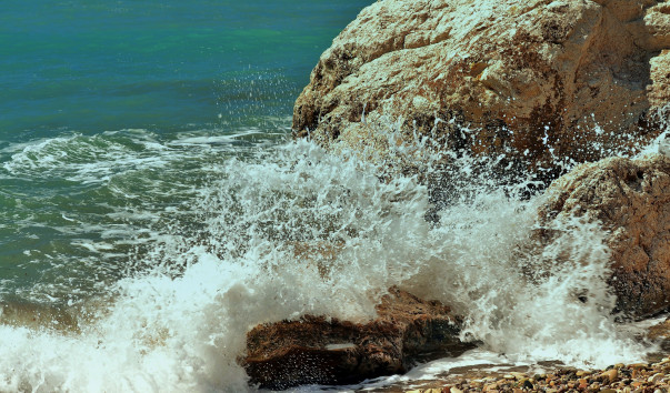 DSC_048011