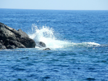 photo 412542