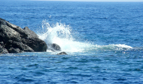 DSC017621