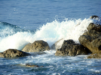 photo 417720