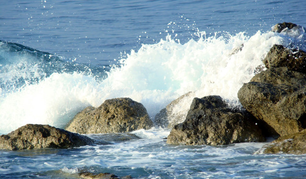 DSC019461