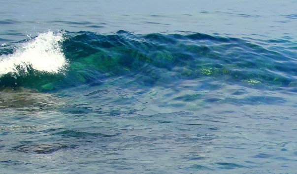 DSC019191