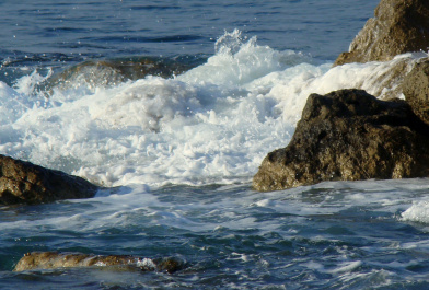 photo 423648