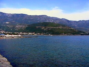 photo 445129