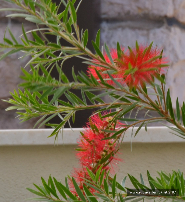 photo 727719
