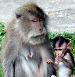 photo 649191
