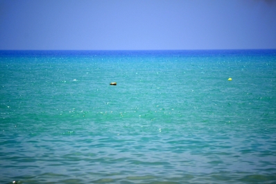 photo 790663