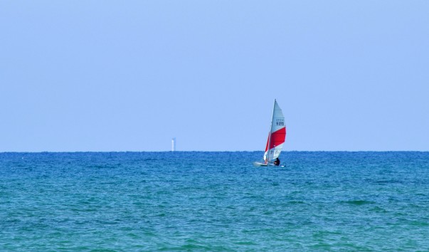DSC_00461
