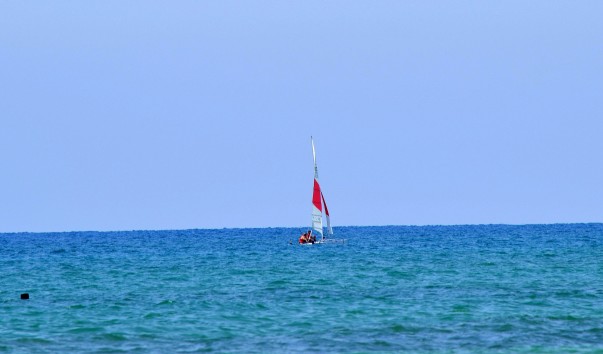 DSC_00571