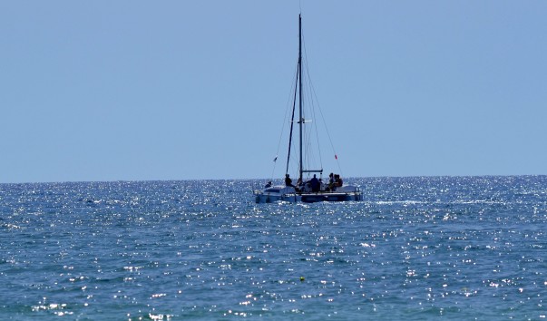 DSC_00451
