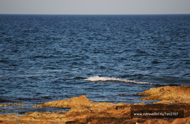 photo 1124341