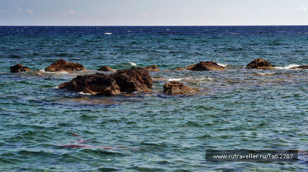 photo 1423870