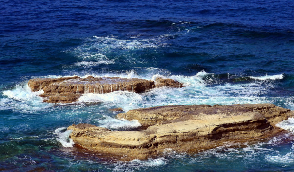 DSC_00821