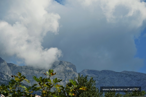 photo 966819