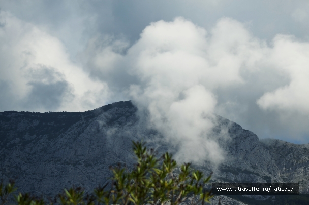 photo 966820
