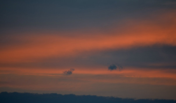 DSC_00211