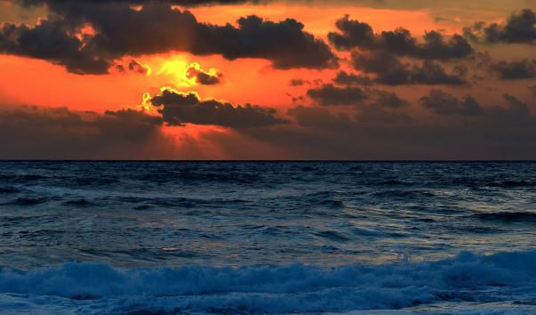 DSC_0029 (2)11