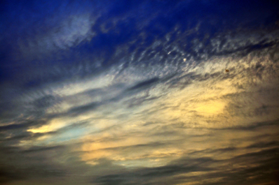 photo 1646296