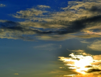 photo 916197