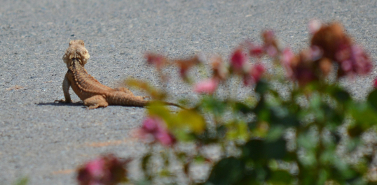 photo 1457783