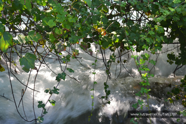 photo 1057372