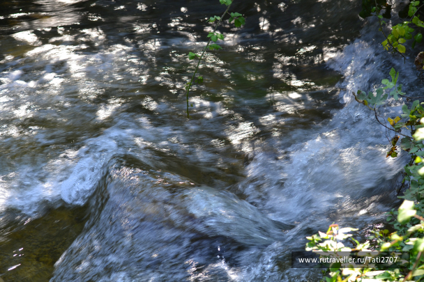 photo 1057373